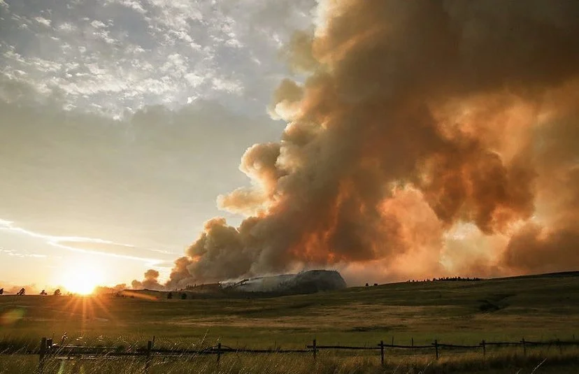Wildfire in a Montana field