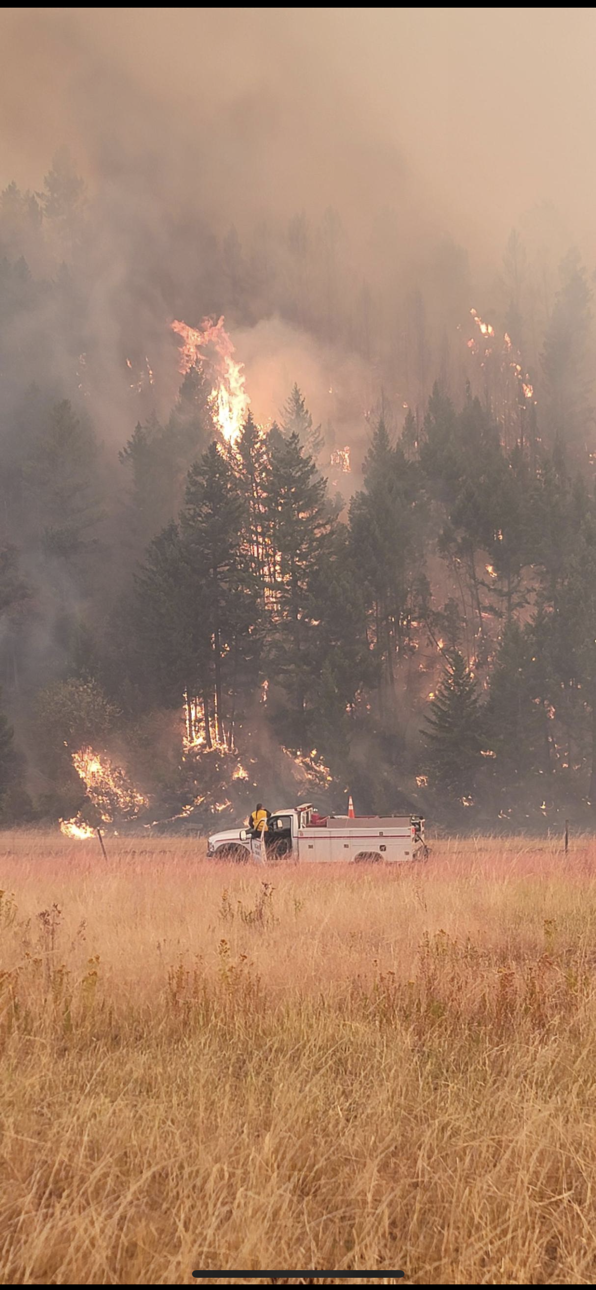 A Rollins brush truck holding the line as timber torches